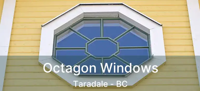  Octagon Windows Taradale - BC