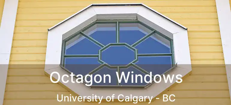  Octagon Windows University of Calgary - BC