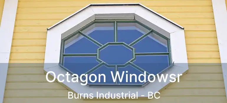  Octagon Windowsr Burns Industrial - BC