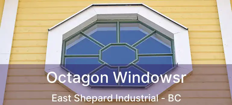  Octagon Windowsr East Shepard Industrial - BC