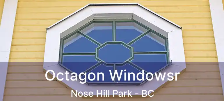  Octagon Windowsr Nose Hill Park - BC