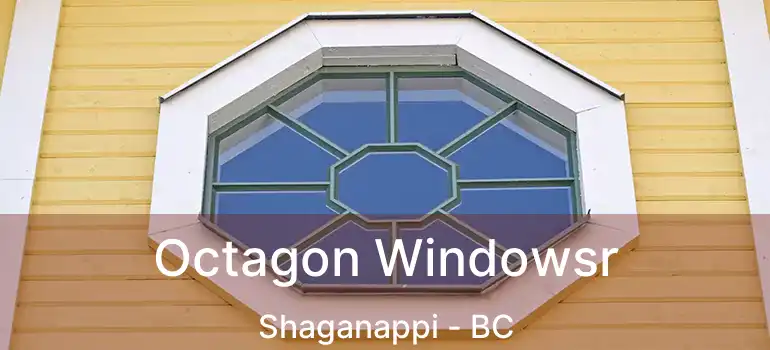  Octagon Windowsr Shaganappi - BC