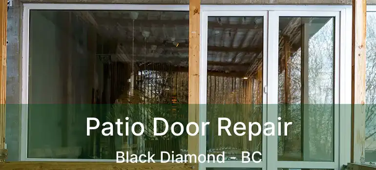 Patio Door Repair Black Diamond - BC