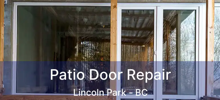  Patio Door Repair Lincoln Park - BC