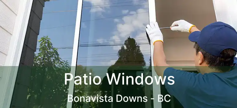  Patio Windows Bonavista Downs - BC