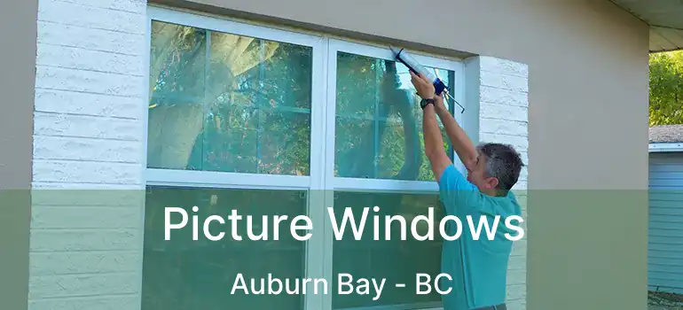 Picture Windows Auburn Bay - BC