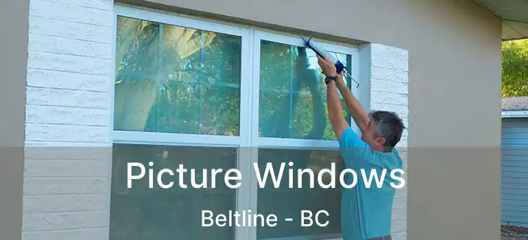  Picture Windows Beltline - BC