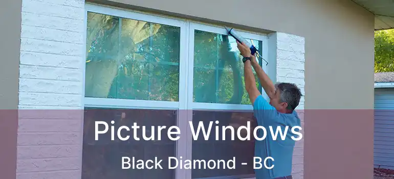  Picture Windows Black Diamond - BC