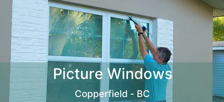  Picture Windows Copperfield - BC