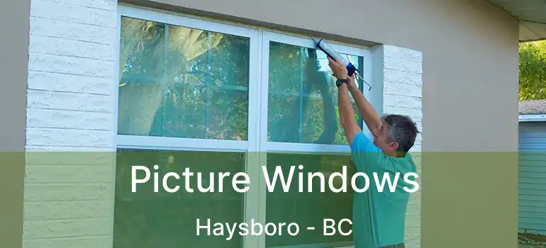  Picture Windows Haysboro - BC