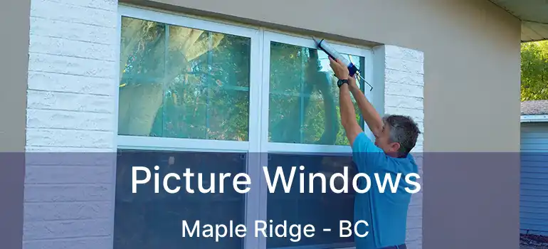  Picture Windows Maple Ridge - BC
