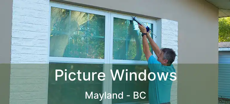  Picture Windows Mayland - BC