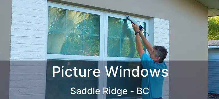  Picture Windows Saddle Ridge - BC