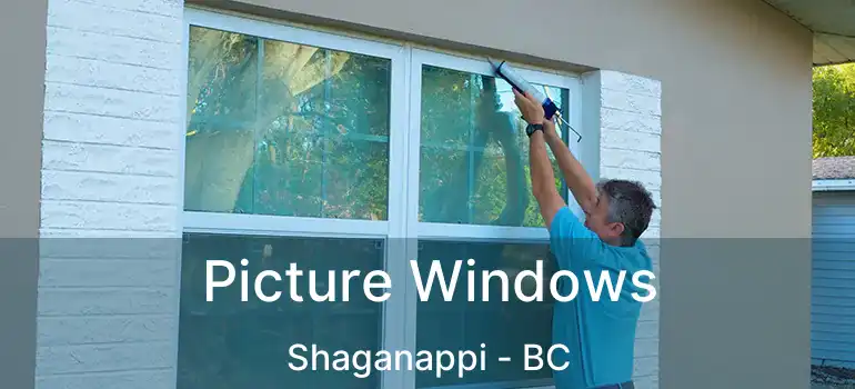  Picture Windows Shaganappi - BC
