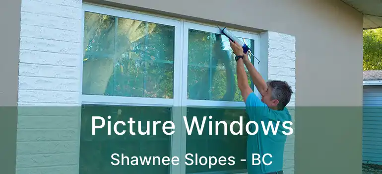  Picture Windows Shawnee Slopes - BC