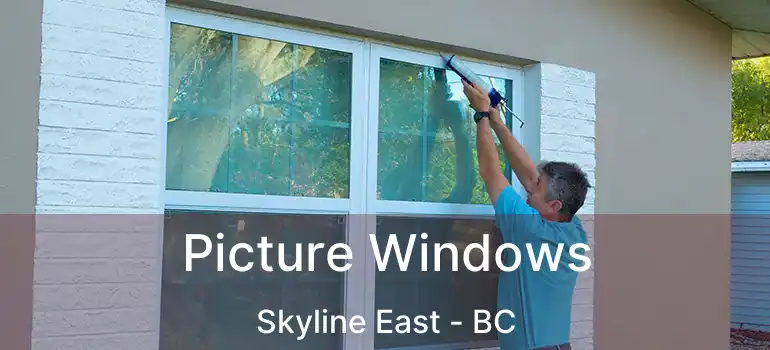  Picture Windows Skyline East - BC