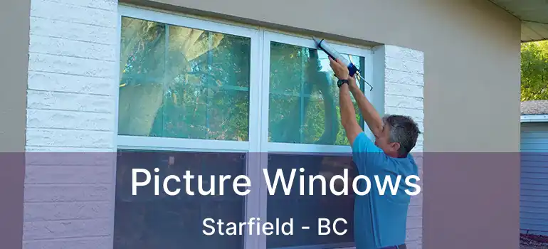  Picture Windows Starfield - BC