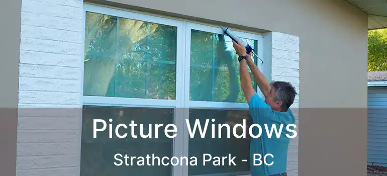 Picture Windows Strathcona Park - BC