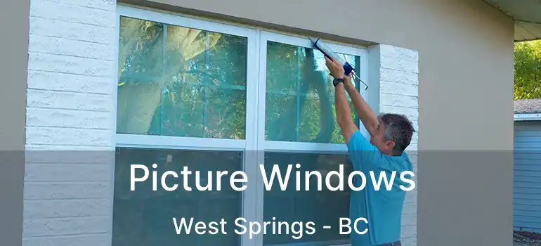  Picture Windows West Springs - BC