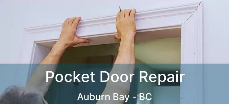  Pocket Door Repair Auburn Bay - BC