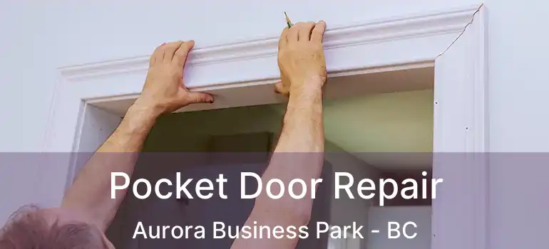  Pocket Door Repair Aurora Business Park - BC