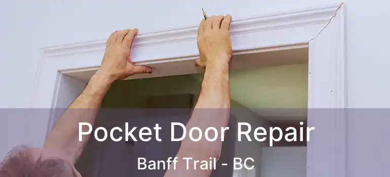  Pocket Door Repair Banff Trail - BC