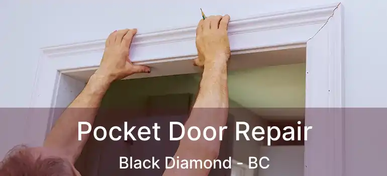  Pocket Door Repair Black Diamond - BC
