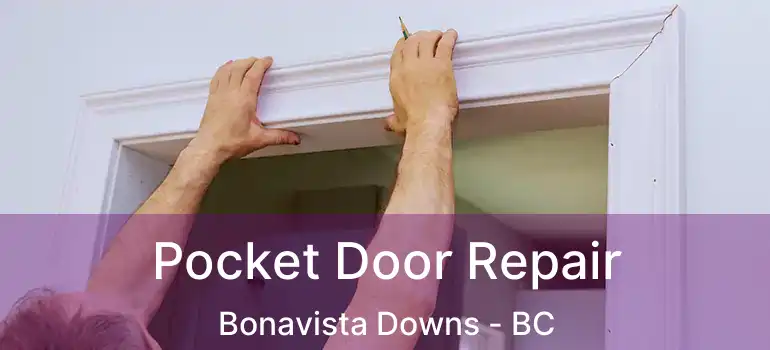  Pocket Door Repair Bonavista Downs - BC