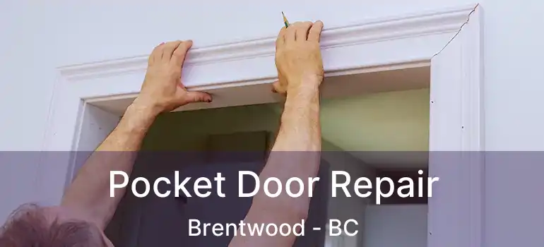  Pocket Door Repair Brentwood - BC