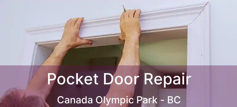  Pocket Door Repair Canada Olympic Park - BC