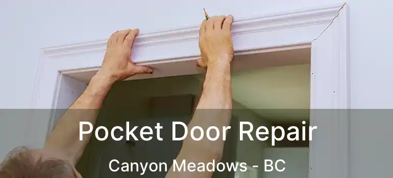  Pocket Door Repair Canyon Meadows - BC