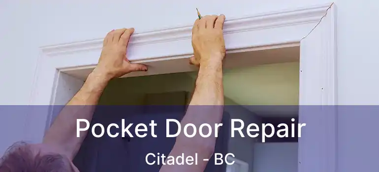  Pocket Door Repair Citadel - BC