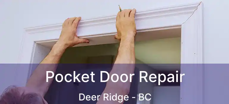  Pocket Door Repair Deer Ridge - BC