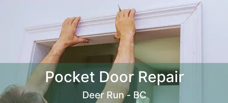  Pocket Door Repair Deer Run - BC