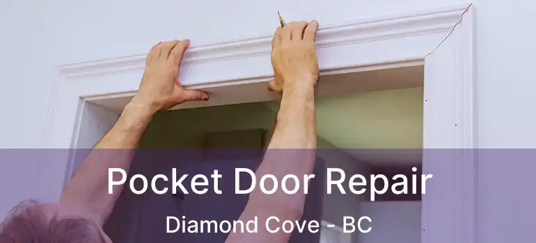  Pocket Door Repair Diamond Cove - BC