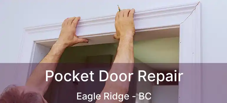  Pocket Door Repair Eagle Ridge - BC