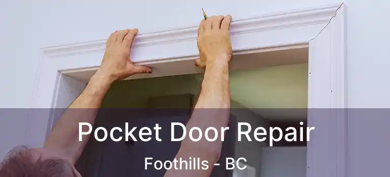  Pocket Door Repair Foothills - BC