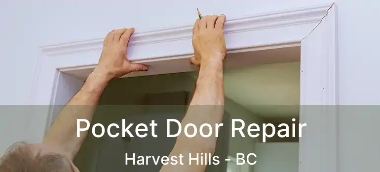  Pocket Door Repair Harvest Hills - BC