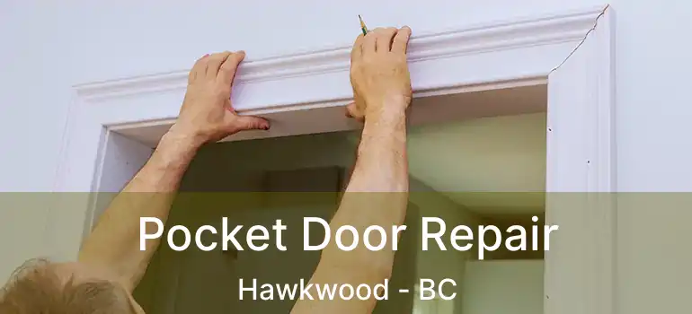  Pocket Door Repair Hawkwood - BC