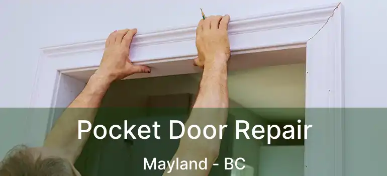  Pocket Door Repair Mayland - BC