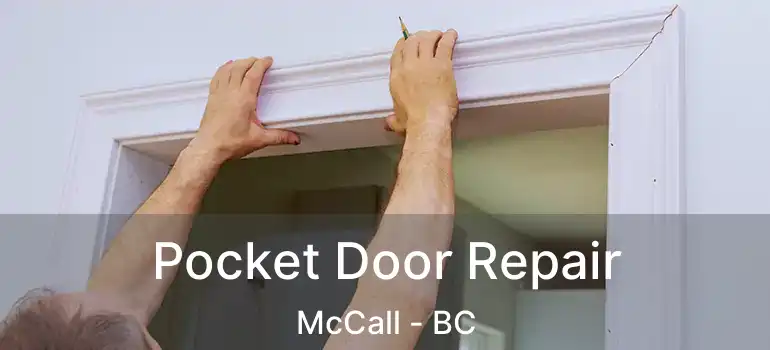  Pocket Door Repair McCall - BC
