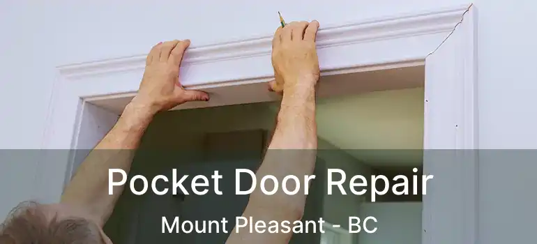  Pocket Door Repair Mount Pleasant - BC