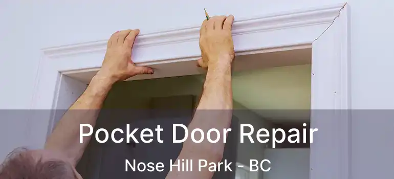  Pocket Door Repair Nose Hill Park - BC
