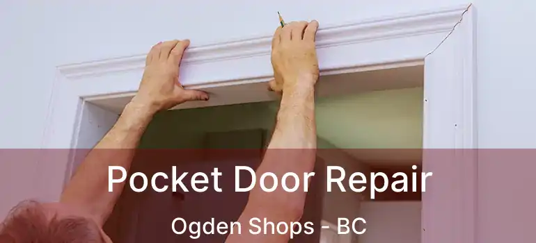  Pocket Door Repair Ogden Shops - BC