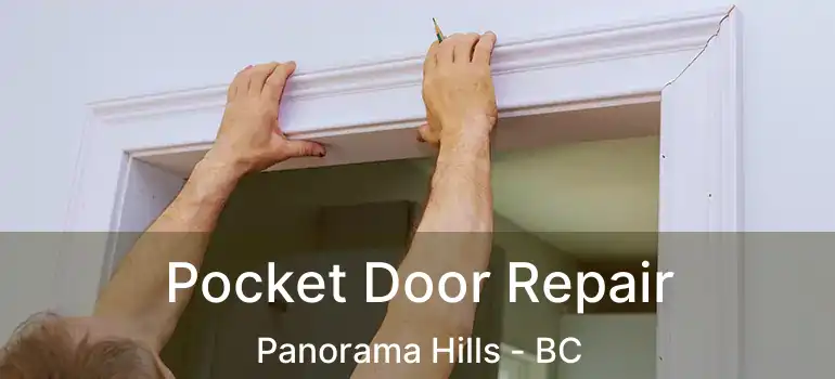  Pocket Door Repair Panorama Hills - BC