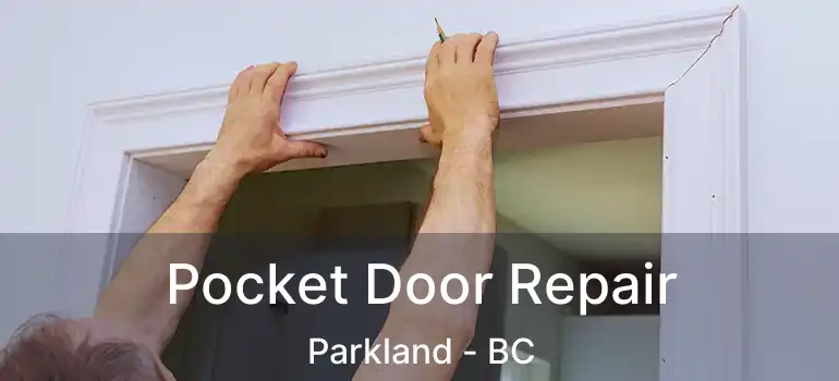  Pocket Door Repair Parkland - BC