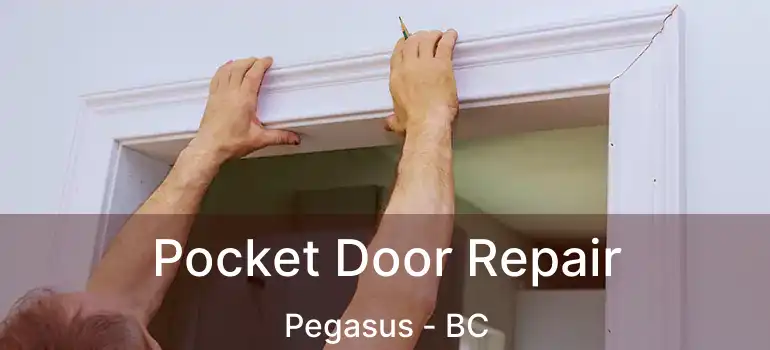  Pocket Door Repair Pegasus - BC