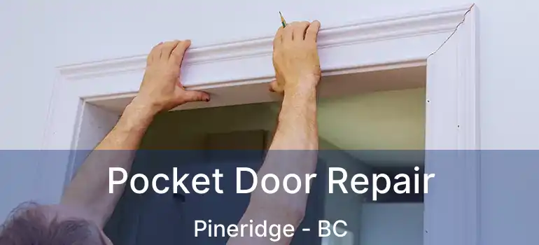  Pocket Door Repair Pineridge - BC