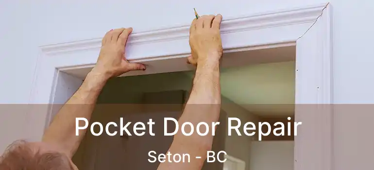  Pocket Door Repair Seton - BC