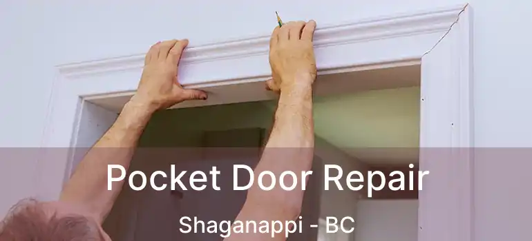  Pocket Door Repair Shaganappi - BC